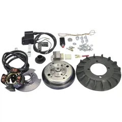 Zündung Polini analog mit Licht für Vespa 50 Special, ET3 125, Primavera 125 mit 20mm Konus 171.0543