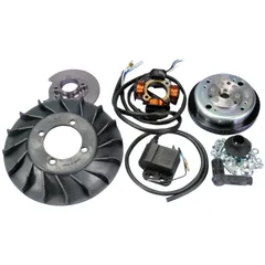 Zündung Polini analog mit Licht für Vespa PX 125, TS 125, PX 150 Sprint Veloce, PE 200, PX 200 171.0549
