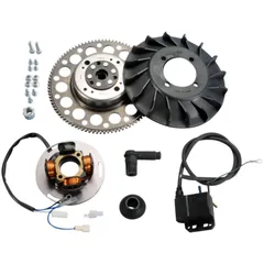 Zündung Polini analog mit Licht für Vespa PX 125, TS 125, PX 150 Sprint Veloce, PE 200, PX 200 mit E-Starter 171.0550