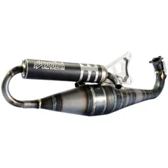 Auspuff Polini Racing Big Evolution 70ccm TWD für Minarelli liegend LC 200.0288