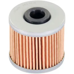 Ölfilter Polini für Kawasaki, Kymco 203.3516