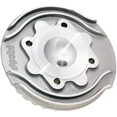 cylinder head Polini Evolution 57mm for Vespa 125 ETS, PK, Primavera 2T, Primavera ET3 2T, XL 211.0320