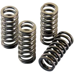 valve spring set Polini for Piaggio 300ie 4T LC Quasar 228.0132