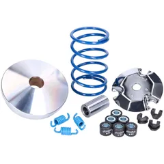 Variator Variomatik Polini Hi-Speed für Peugeot Kisbee 50 i.e. 2T AC Euro4 2018- 241.757