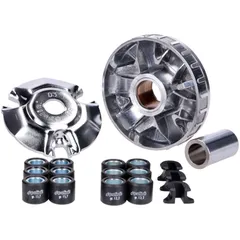 Variomatik Polini Maxi Hi-Speed für Suzuki Burgman 125ccm E5 241.767
