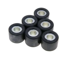 Variorollen Variomatikgewichte Polini 16x13mm - 6,3g 242.066