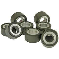 roller set / variator weights Polini 20x14,5mm - 10.0g 242.185