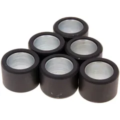 roller set / variator weights Polini 20x14.5mm - 9.0g 242.248