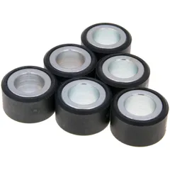 roller set / variator weights Polini 20x12mm - 8.0g 242.294