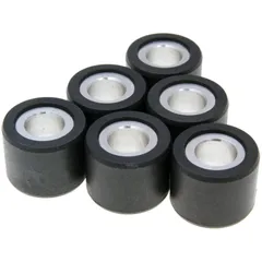 roller set / variator weights Polini 23x18mm - 18g 242.301