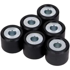 roller set / variator weights Polini 20x17mm - 22.0g 242.358