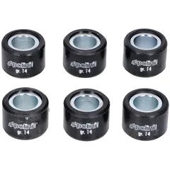 Variomatikgewichte Polini 20x14,95mm - 13,8g 242.433