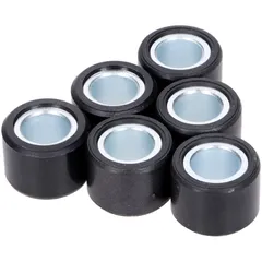 Variomatikgewichte Polini 20x14,95mm - 15g 242.434