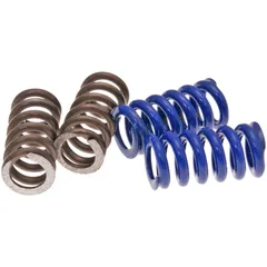 Kupplungsfedern für Polini Speed Clutch 2G EVO2, 2 Paar 245.075