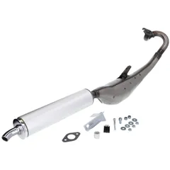 Schalldämpfer Auspuff Tecnigas Next-R für Honda Wallaroo 25087