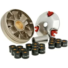 Variator Variomatik Top Racing SV1 Speed für Honda Wallaroo, Vision 25091
