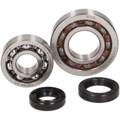 crankshaft bearing set for Aprilia Scarabeo, Piaggio Liberty, Zip, Vespa ET4 50 4T (1st series, 25mm bearing seat) 38330
