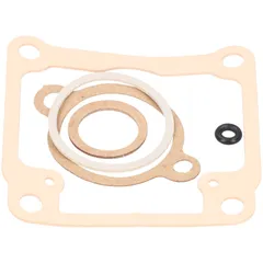 Dichtsatz Vergaser Dichtungssatz Dellorto für PHBG 19-21mm 38649