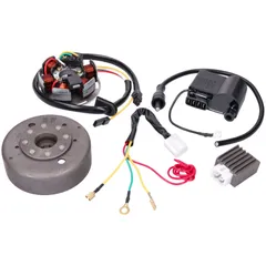 Generator Lichtmaschine / Zündung Umrüstkit 12V für Kreidler Florett RS (K54), Sachs, Zündapp KS, GTS 50 (517 529 515) Mofa/ Mok