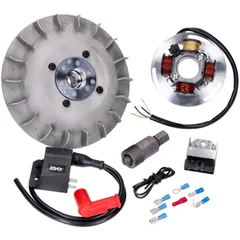 Zündung EVOK Elektronik 12V d=17mm für Vespa Largeframe, GT, Sprint, Super, VNA, VNB 49378
