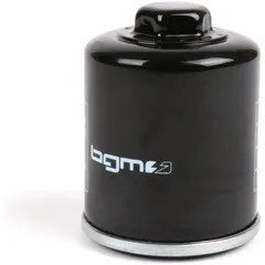 Ölfilter BGM Pro Easy Mount für Vespa GTS125-300, HPE, iGet, GT, Sprint, Primavera 125, Runner VX125, VXR180, Aprilia Sport City