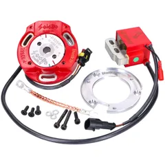 Innenrotor Zündung Italkit Selettra analog für Derbi EBE, EBS 2-Takt Euro2 52811
