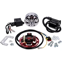 Zündung EVO swiing für Hercules Prima, Sachs 50/2, 50/3, 535, 505, 506 55189