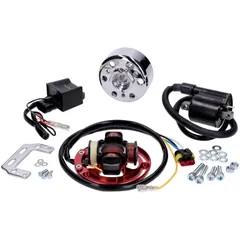 Zündung EVO swiing für Sachs 503 AB, AC, ADV 55198