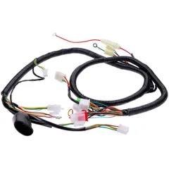 Main wiring harness for Jinlun Fighter 50, Benzhou YY50QT, Baotian BT49QT, Generic, Nova Motors, Znen BT17296