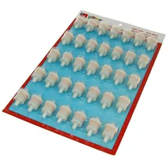Kraftstofffilter Benzinfilter 8mm High Quality Display 35 Stück IP24775