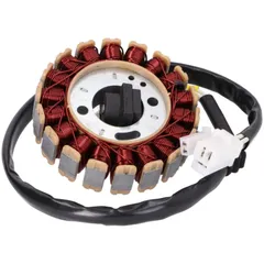 Ankerplatte Lichtmaschine Stator 18 Spulen d=93mm für GY6 125, 150 IP40137