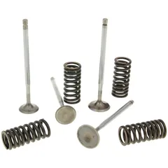 cylinder head valves Malossi racing with springs for Piaggio 4V LC engines M.2714047