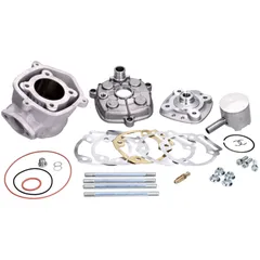 Zylindersatz Zylinderkit Malossi MHR Team Modular 79ccm für D50B0, D50B1 M.3112988