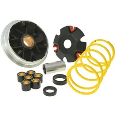 Variator Variomatik Malossi Multivar für Suzuki (99-) M.5111298