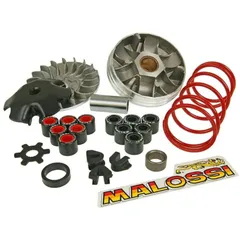 Variator Variomatik Malossi Overrange für Minarelli M.5112800