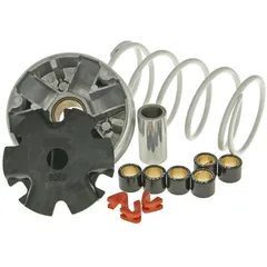 Variator Variomatik Malossi Multivar für 139QMB/QMA 4-Takt M.5113139