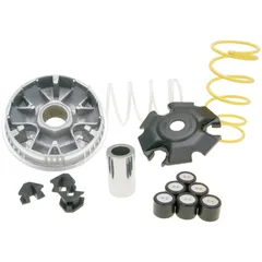 Variator Variomatik Malossi Multivar 2000 für Piaggio Fly, Liberty, Vespa Primavera, Sprint 125ie, 150ie 3V M.5116674