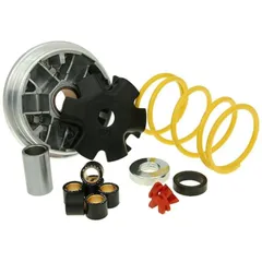 variator Malossi Multivar for Honda SH, Lead, PGO M.517074