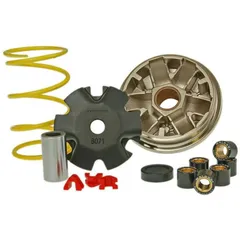 Variator Variomatik Malossi Multivar für Honda M.517117