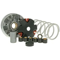 Variator Variomatik Malossi Multivar für Kymco, SYM, Honda Dio M.517484