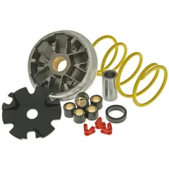 Variator Variomatik Malossi MHR Multivar für PGO Big Max M.518852
