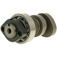 Nockenwelle Malossi Power Cam für Honda SH 300i, NSS 300i M.5914657