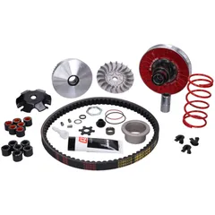Overrange Kit Malossi MHR La Furia Rossa für Minarelli liegend M.6118884