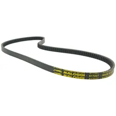 Variator Keilriemen Malossi 978x13x6,5 X Special Belt für Piaggio, Vespa Ciao, PX50 mit Variomatik M.617227