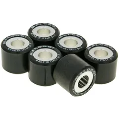 Variorollen Variomatikgewichte Malossi HT 20x17mm - 9,0g M.6611095F