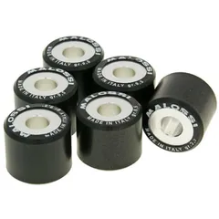 Variorollen Variomatikgewichte Malossi HT 20x17mm - 9,5g M.6611095G