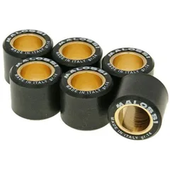 vario weights Malossi HT 20x17mm - 14.0g M.6611095R