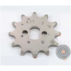 Pinion Esjot steel 12 teeth oval mount 15x10mm for Zündapp Bergsteiger M 25 type 434-02, 50 434-01, automatic moped 442, ZR 10 4