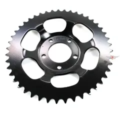 Kettenrad Esjot Stahl 45 Zähne Schwarz für Hercules, Prima GT, GX MG00009472