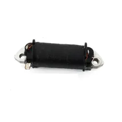 Primärstromspule Schwarz für Honda, MT, MB 50 MG00041242